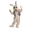 Adults Peter Rabbit Mascot Costume Image 1
