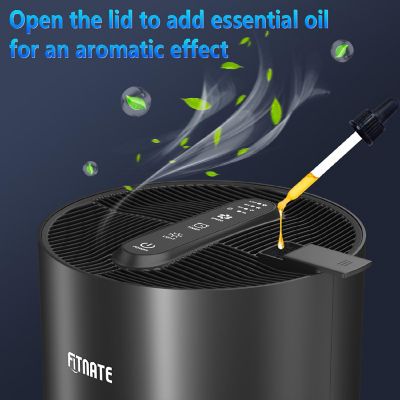 Air Purifier Black Image 1