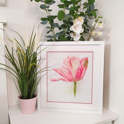 Alisa - Tulips. Light Pink 2-42 Counted Cross-Stitch Kit Image 1