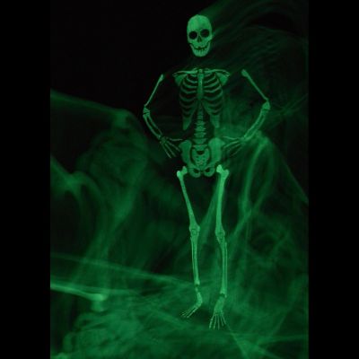 AltSkin Full Body Stretch Fabric Zentai Suit Costume - Glow in the Dark Skeleton (Kid Large) Image 2