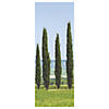 Ancient Greek Garden Cypress Scene Setter Background - 2 Pc. Image 1