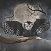 Animated Hanging Owl Halloween Decoration Image 1