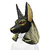 Anubis Varaform Special Order Mask Image 1