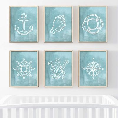 Aqua Compass Anchor Shell 6Pk 8.5x11in Image 1