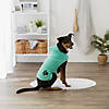 Aqua Embroidered Paw Medium Pet Robe Image 2