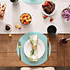 Aqua Round Pvc Doubleframe Placemat 6 Piece Image 2