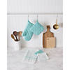 Aqua Windowpane Terry Dishtowel (Set Of 4) Image 3