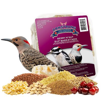 Armstrong Wild Bird Food Berry N Feet Nut Suet Blend, 11.3oz Image 1