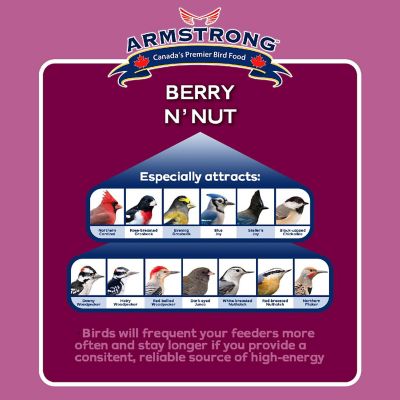 Armstrong Wild Bird Food Berry N Feet Nut Suet Blend, 11.3oz Image 1