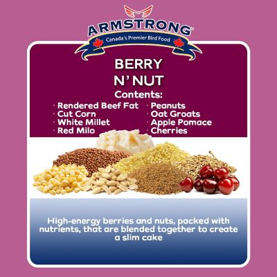 Armstrong Wild Bird Food Berry N Feet Nut Suet Blend, 11.3oz Image 2