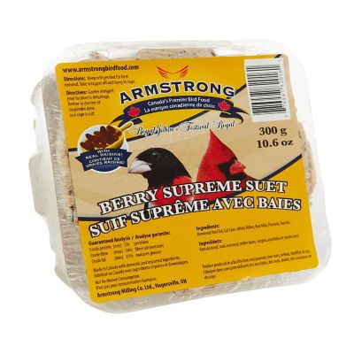 Armstrong Wild Bird Food Berry Supreme Suet Blend, 10.6oz Image 1