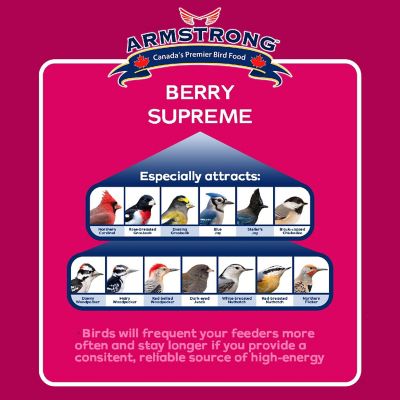 Armstrong Wild Bird Food Berry Supreme Suet Blend, 10.6oz Image 1