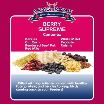 Armstrong Wild Bird Food Berry Supreme Suet Blend, 10.6oz Image 2