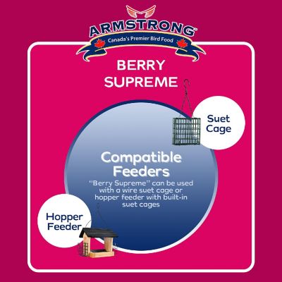 Armstrong Wild Bird Food Berry Supreme Suet Blend, 10.6oz Image 3