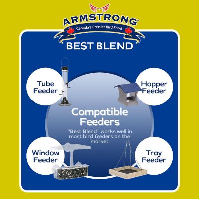 Armstrong Wild Bird Food Best Blend Bird Seed Mix, 20lbs Image 2