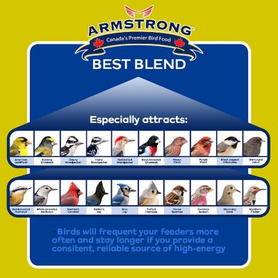 Armstrong Wild Bird Food Best Blend Bird Seed Mix, 20lbs Image 3