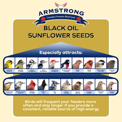 Armstrong Wild Bird Food Black Oil Sunflower Bird Seed Blend, 15.4lbs Image 1