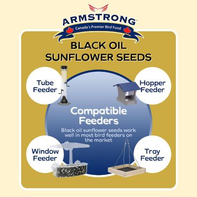 Armstrong Wild Bird Food Black Oil Sunflower Bird Seed Blend, 15.4lbs Image 3