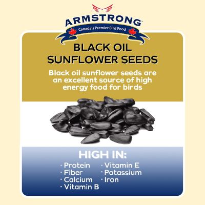 Armstrong Wild Bird Food Black Oil Sunflower Bird Seed Blend, 3lbs Image 2