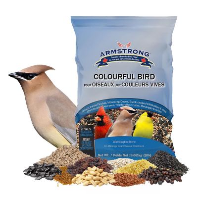 Armstrong Wild Bird Food Colourful Bird Seed Blend, 8lbs Image 1