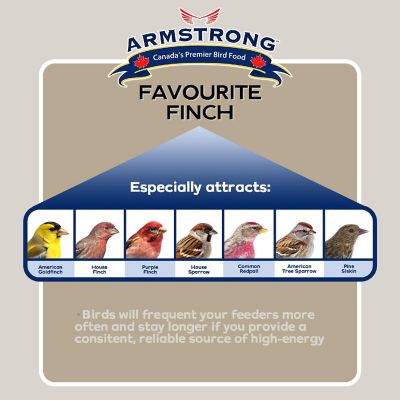 Armstrong Wild Bird Food Favourite Finch Bird Seed Blend For Finches, 10lbs Image 1