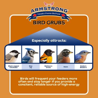 Armstrong Wild Bird Food Mealworm Alternative Bird Grubs, 0.3lbs Image 1