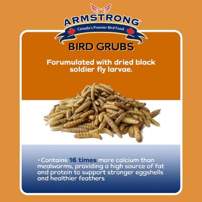 Armstrong Wild Bird Food Mealworm Alternative Bird Grubs, 0.3lbs Image 2