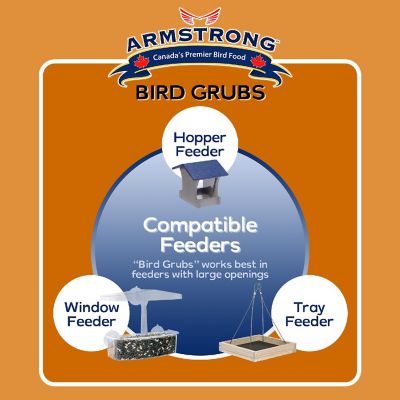 Armstrong Wild Bird Food Mealworm Alternative Bird Grubs, 0.3lbs Image 3