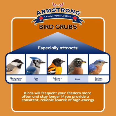 Armstrong Wild Bird Food Mealworm Alternative Bird Grubs, 1.1lbs Image 1