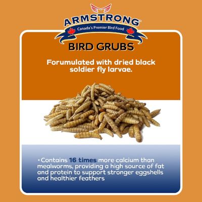 Armstrong Wild Bird Food Mealworm Alternative Bird Grubs, 1.1lbs Image 2