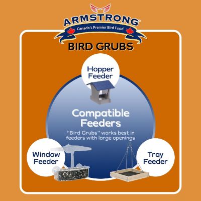 Armstrong Wild Bird Food Mealworm Alternative Bird Grubs, 1.1lbs Image 3