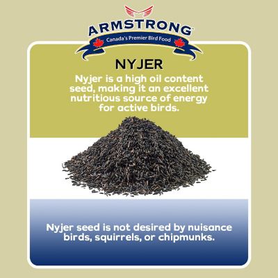 Armstrong Wild Bird Food Nyjer Bird Seed Blend for Finches, 4lbs Image 2