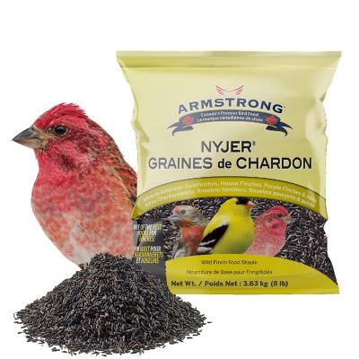 Armstrong Wild Bird Food Nyjer Bird Seed Blend for Finches, 8lbs Image 1