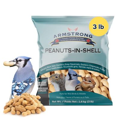 Armstrong Wild Bird Food Peanuts-In-Shell, 3lbs Image 1