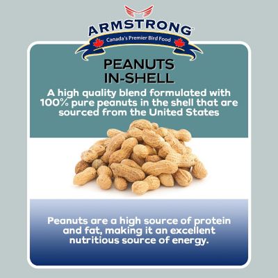 Armstrong Wild Bird Food Peanuts-In-Shell, 3lbs Image 2