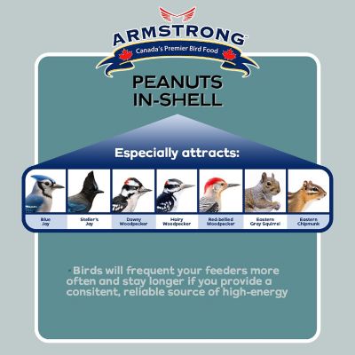 Armstrong Wild Bird Food Peanuts-In-Shell, 6lbs Image 1