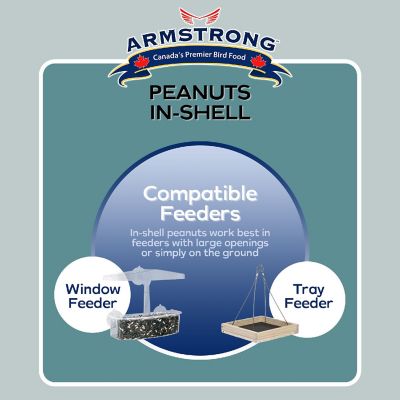 Armstrong Wild Bird Food Peanuts-In-Shell, 6lbs Image 3