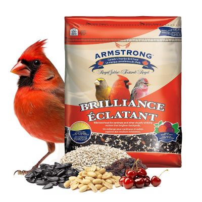 Armstrong Wild Bird Food Royal Jubilee Brilliance Bird Seed Blend For Northern Cardinals, 16lbs Image 1