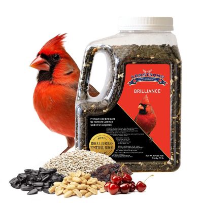 Armstrong Wild Bird Food Royal Jubilee Brilliance Bird Seed Blend For Northern Cardinals, 3lb Jug Image 1