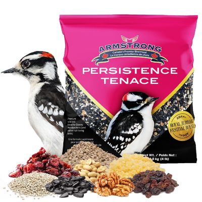 Armstrong Wild Bird Food Royal Jubilee Persistence Bird Seed Blend for Woodpeckers, 4lbs Image 1