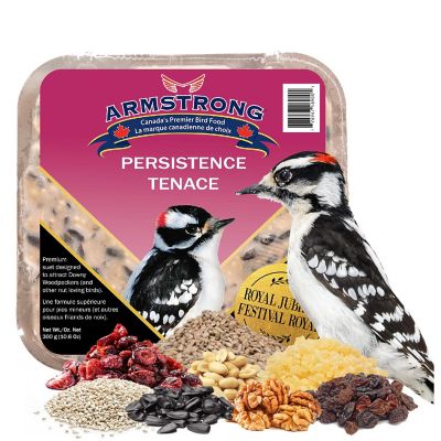 Armstrong Wild Bird Food Royal Jubilee Persistence Suet Blend for Woodpeckers, 10.6oz Pack of 3 Image 1