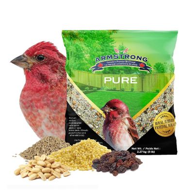 Armstrong Wild Bird Food Royal Jubilee Pure Bird Seed For No Mess or Sprouting, 5lbs Image 1