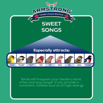 Armstrong Wild Bird Food Royal Jubilee Sweet Songs Bird Seed Blend For Chickadees, 14lbs Image 3