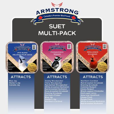 Armstrong Wild Bird Food Royal Jubilee Variety Suet Multi-Pack, 10.6oz Pack of 12 Image 1