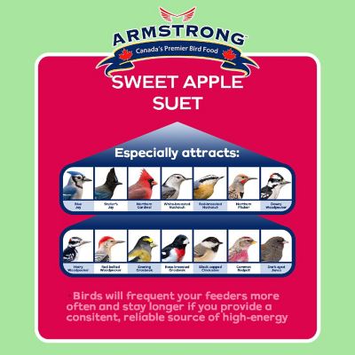 Armstrong Wild Bird Food Sweet Apple Suet Blend, 11.3oz Image 1