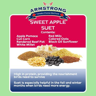 Armstrong Wild Bird Food Sweet Apple Suet Blend, 11.3oz Image 2