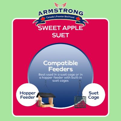 Armstrong Wild Bird Food Sweet Apple Suet Blend, 11.3oz Image 3