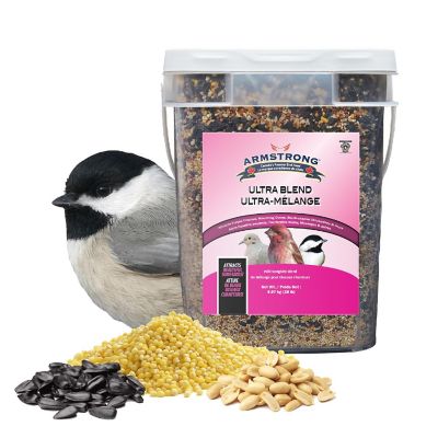 Armstrong Wild Bird Food Ultra Bird Seed Blend for Wild Songbirds, 20 Pound Pail Image 1