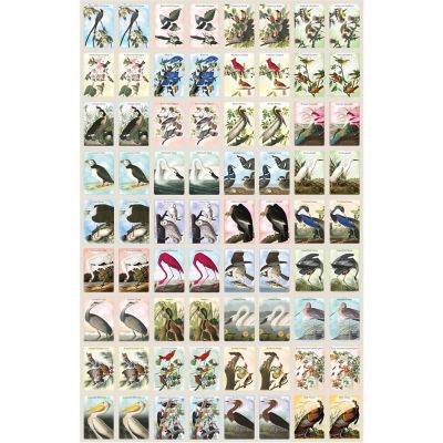 Audubon Memory Game Image 2