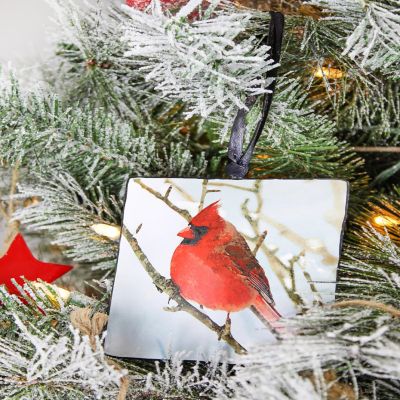 AuldHome Christmas Memorial Cardinal Ornaments (Set of 6); Vintage Tin Style Painted Square Hanging Decorations, 3 Designs Image 2